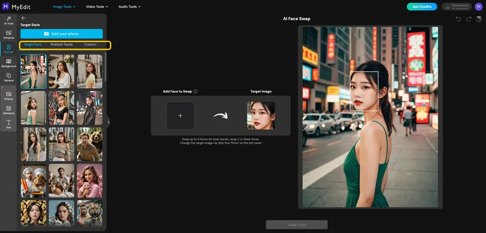 The Single Face, Multiple Faces and Custom tabs highlighted above the Target Style gallery