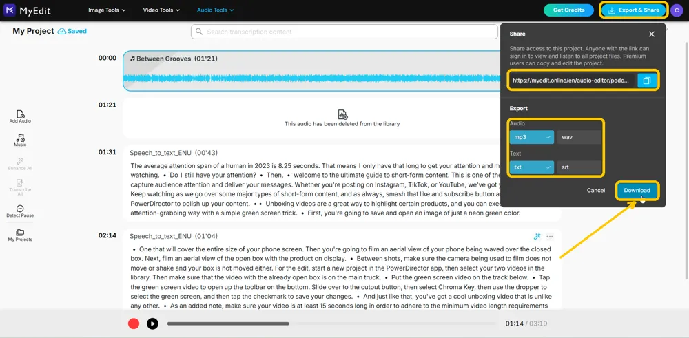 The Share panel with the Export and Share button, the project link, the mp3, wav, txt and srt options and the Download button highlighted