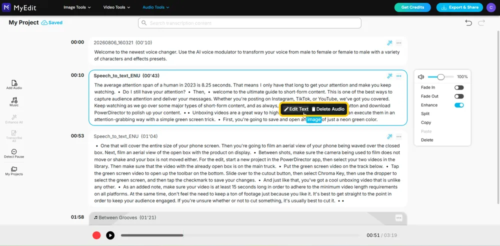 A transcribed clip with words selected and the Edit Text and Delete Audio toolbar highlighted