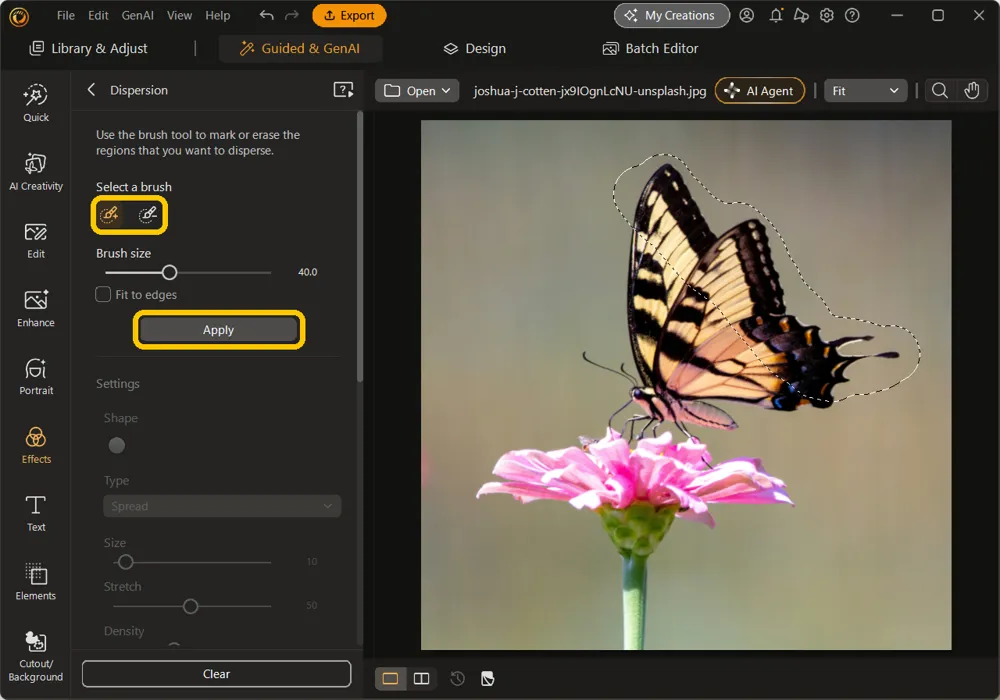 The brush and eraser tools highlighted, with a dashed selection over the butterfly's wing and the Apply button highlighted