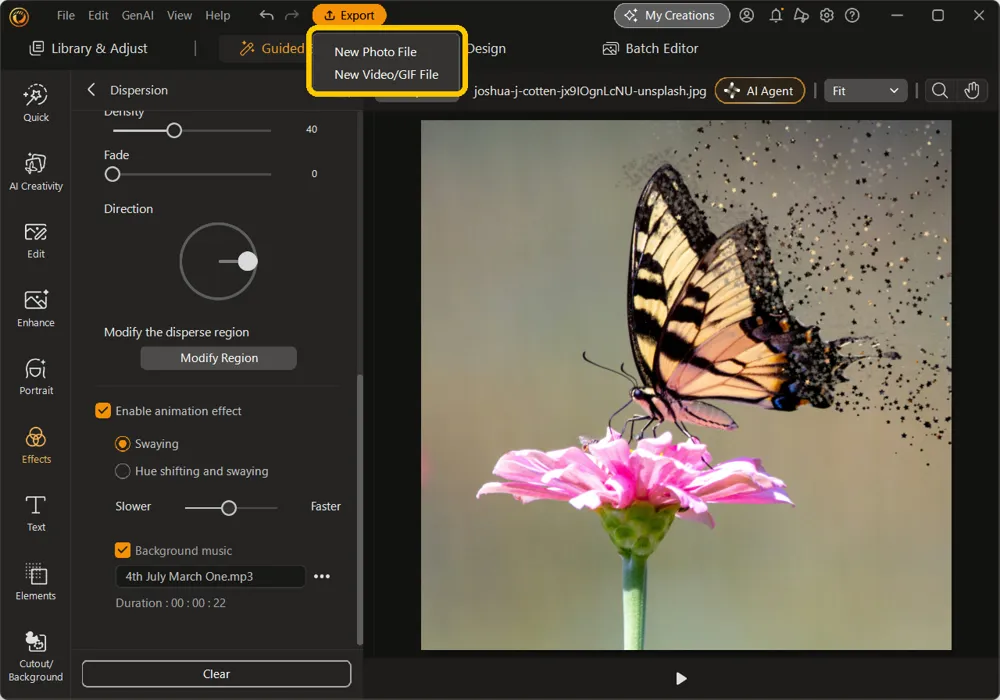 The Export menu open, showing New Photo File and New Video/GIF File