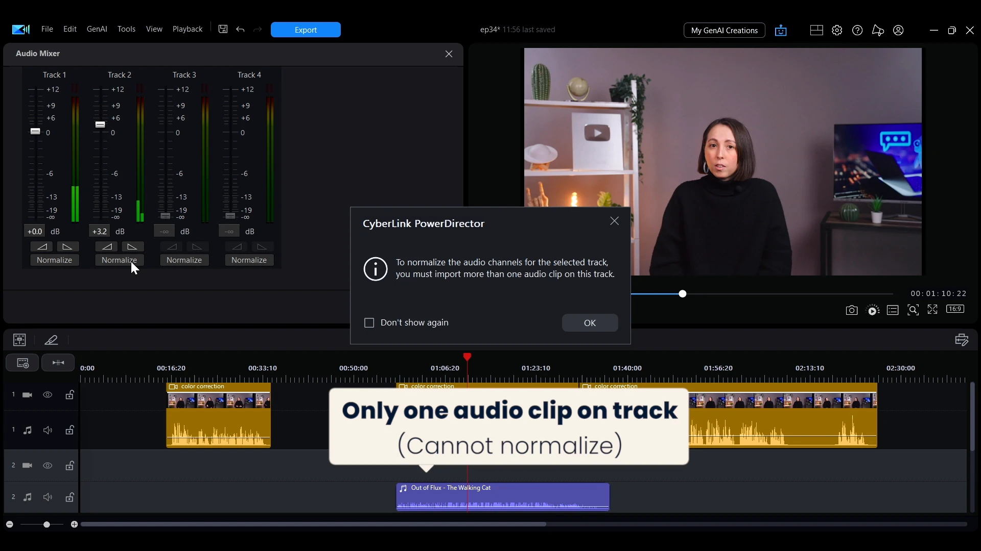 A PowerDirector dialog explaining that normalizing a track requires more than one audio clip on it.