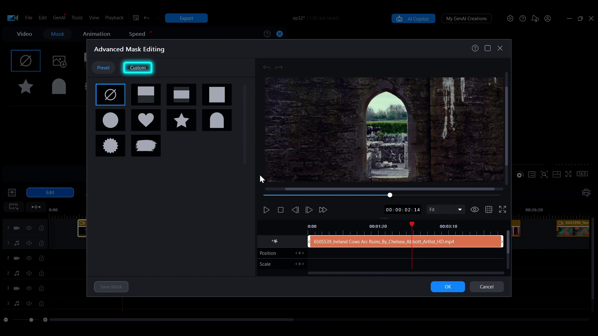 The Advanced Mask Editing window in PowerDirector with the Custom tab highlighted above the preset shape grid.