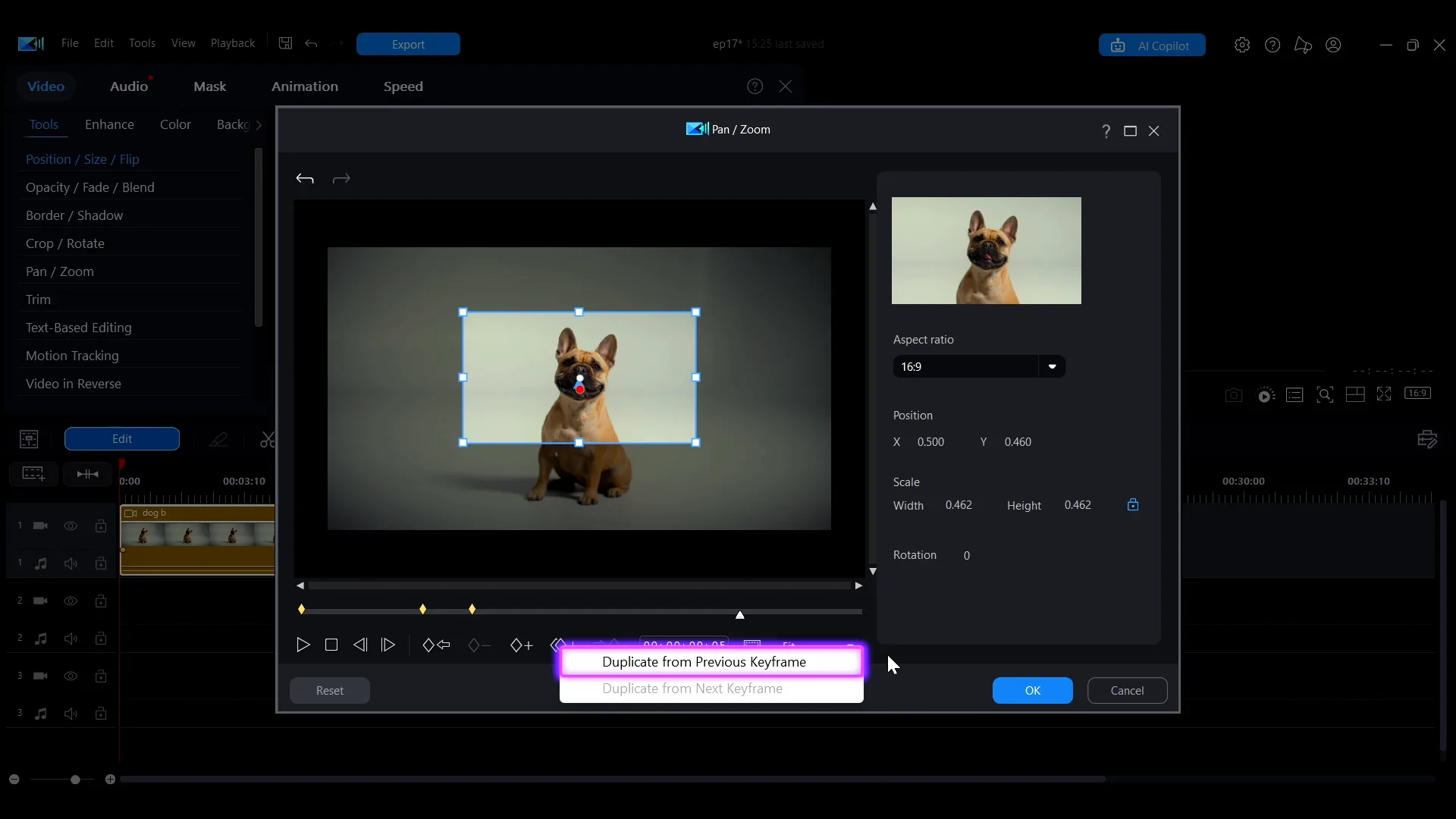 The Duplicate Keyframe control in the Pan/Zoom window
