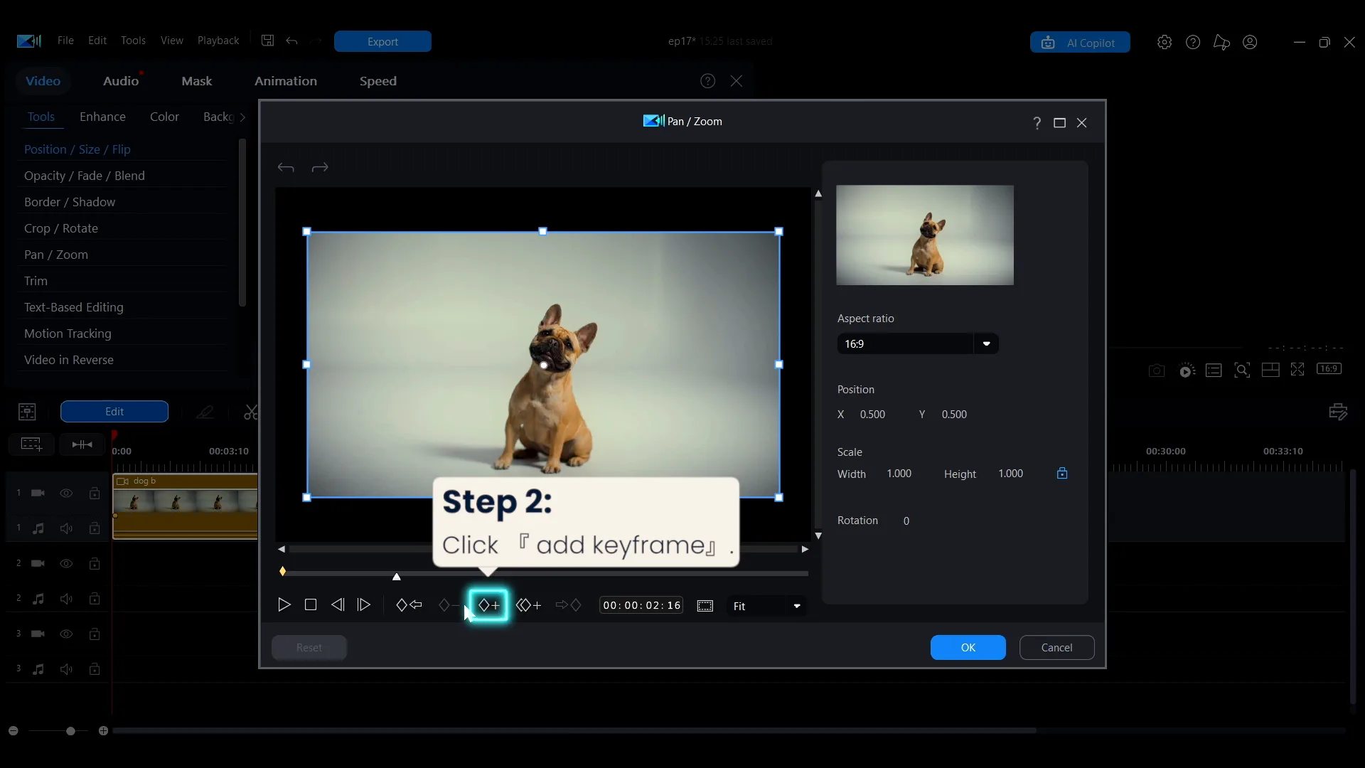 The Add Keyframe button in the Pan/Zoom window