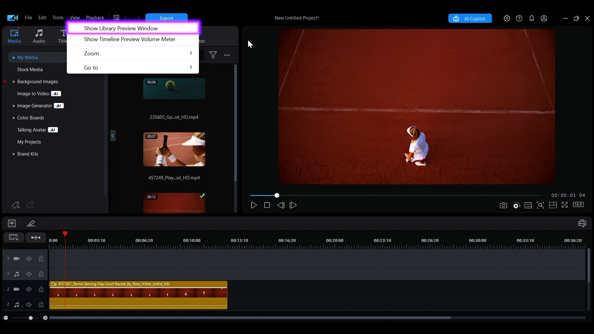 The View menu with Show Library Preview Window highlighted