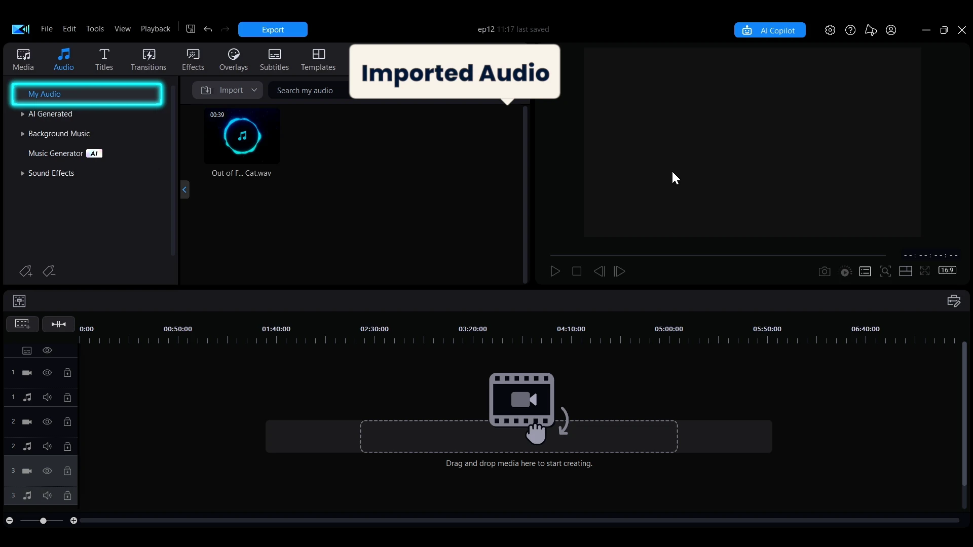 The Audio tab of the library window with imported audio