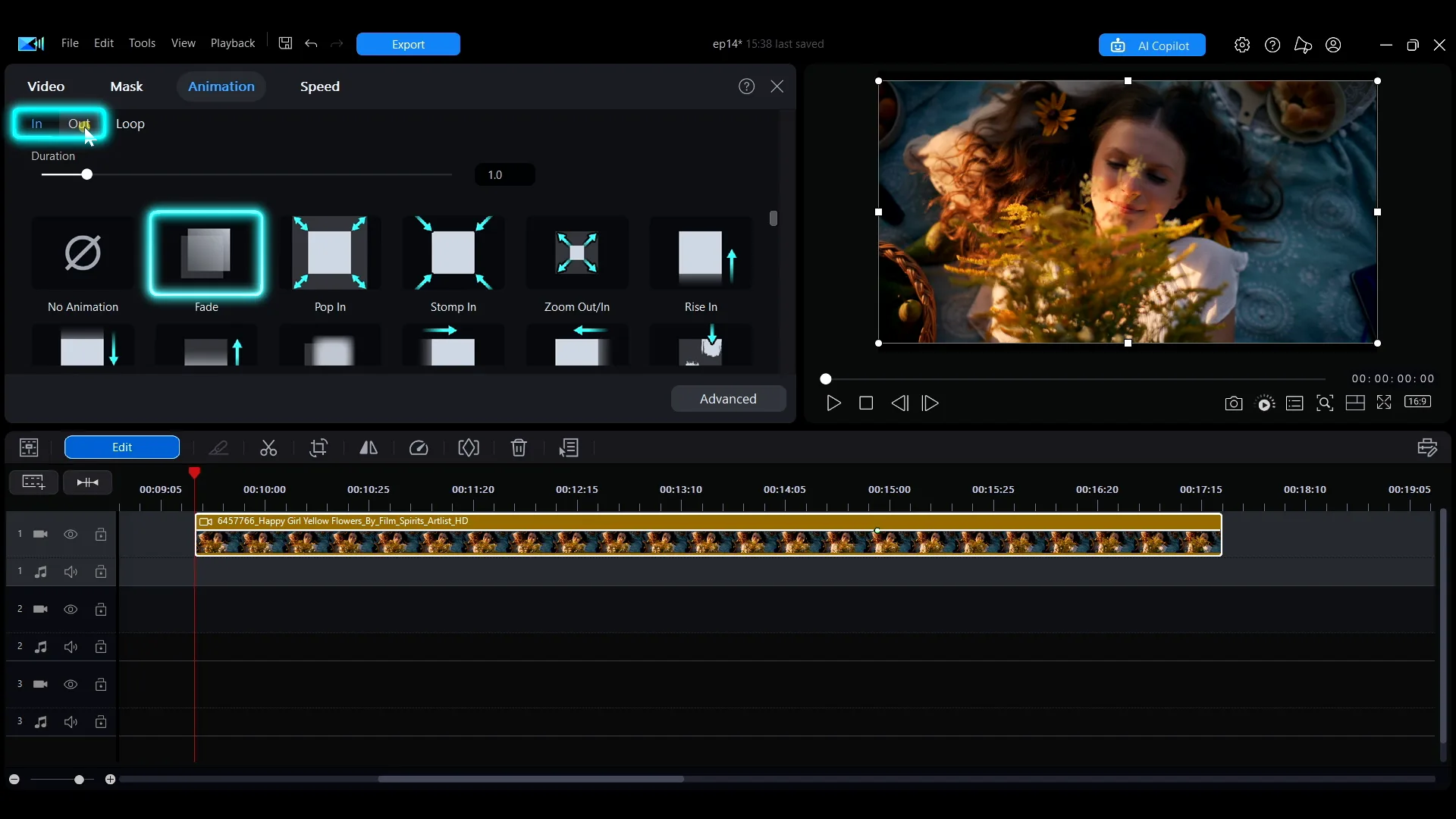 The Animation tab with the Fade option selected under In