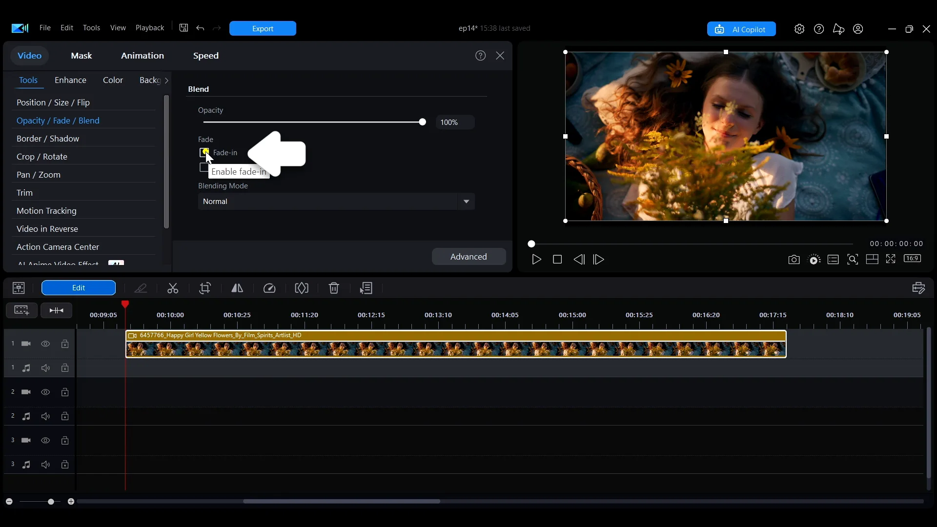 The Fade-in and Fade-out tick boxes in the Edit panel