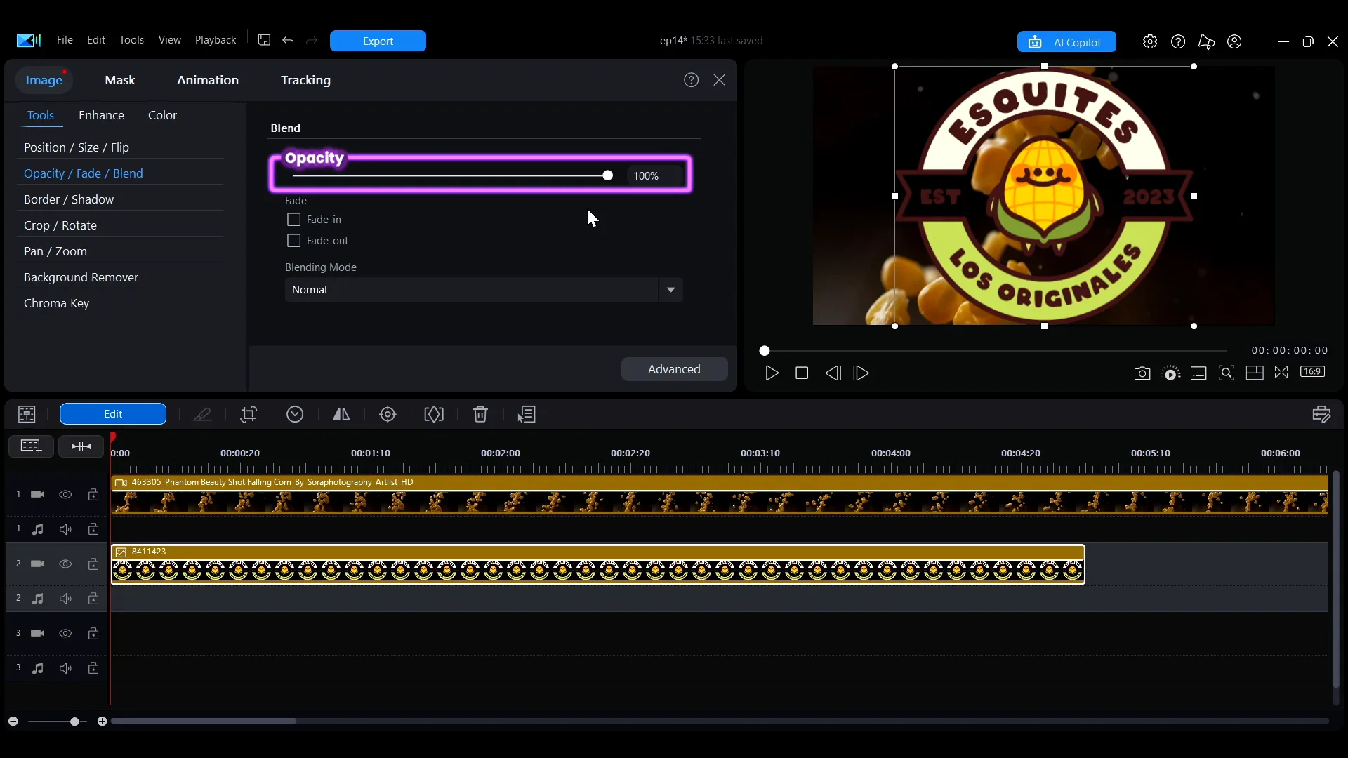 The Opacity slider in the Edit panel, highlighted