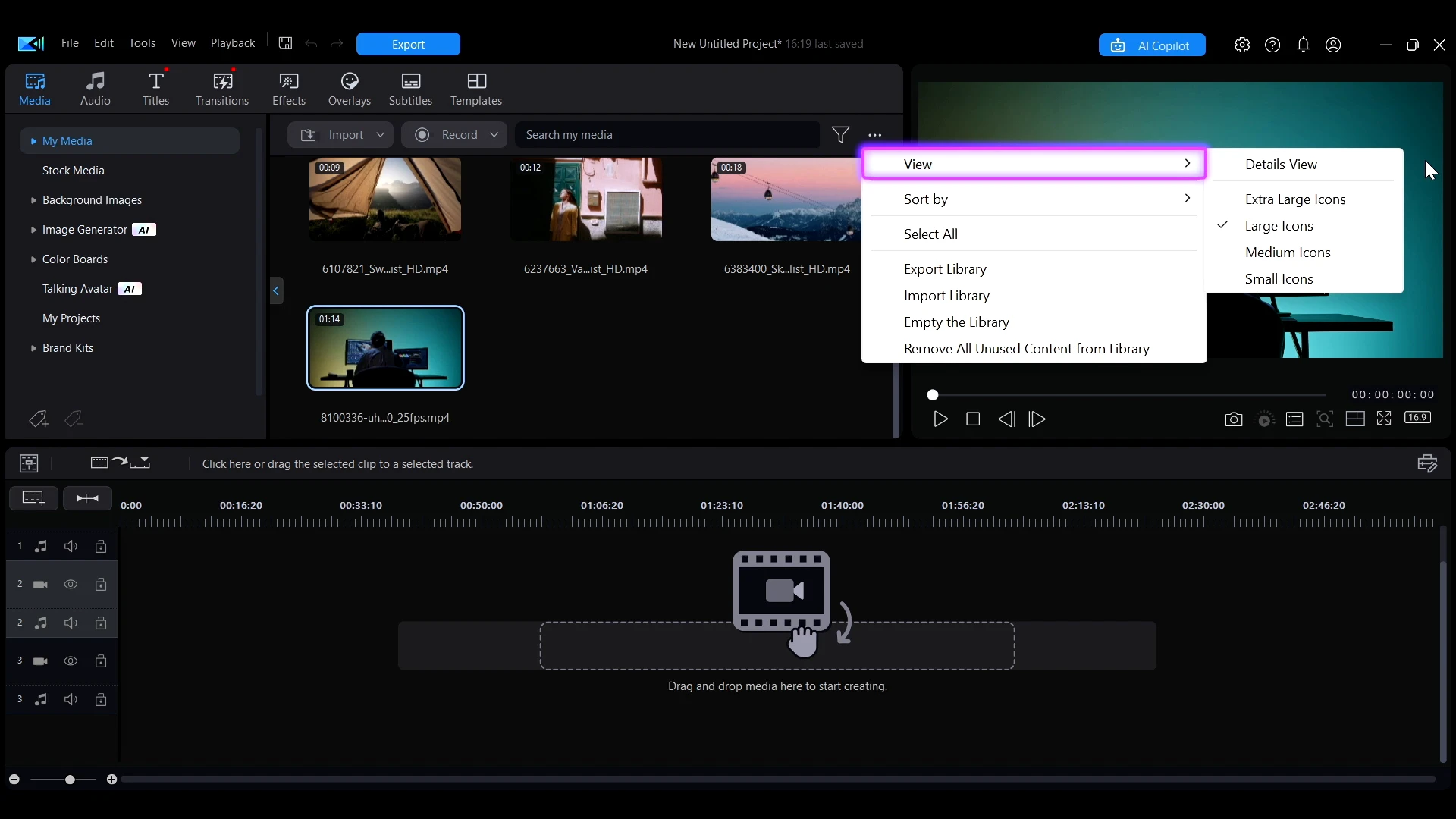 The View menu in My Media showing Details View and icon size options