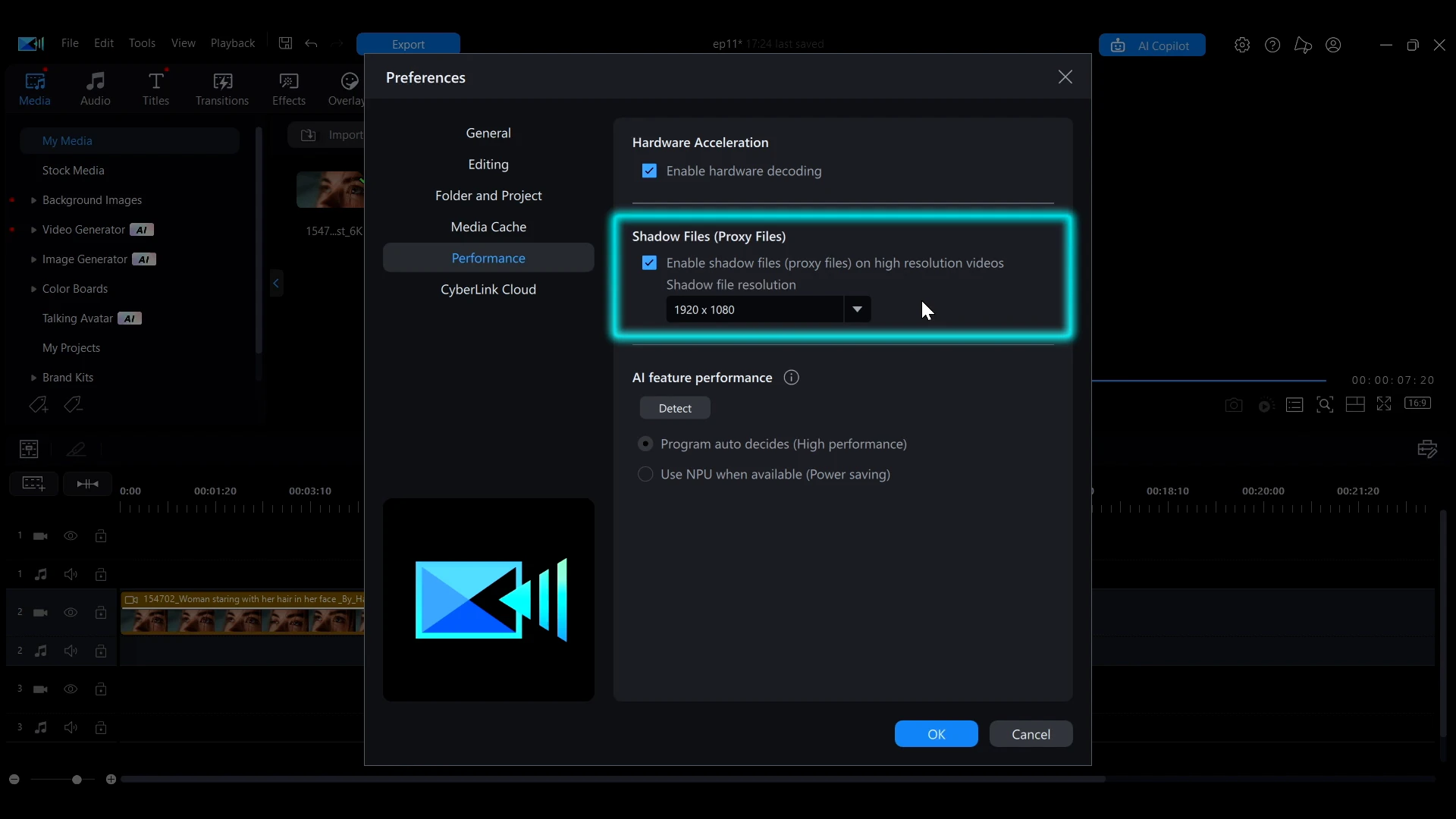 The Shadow Files option enabled under Preferences Performance