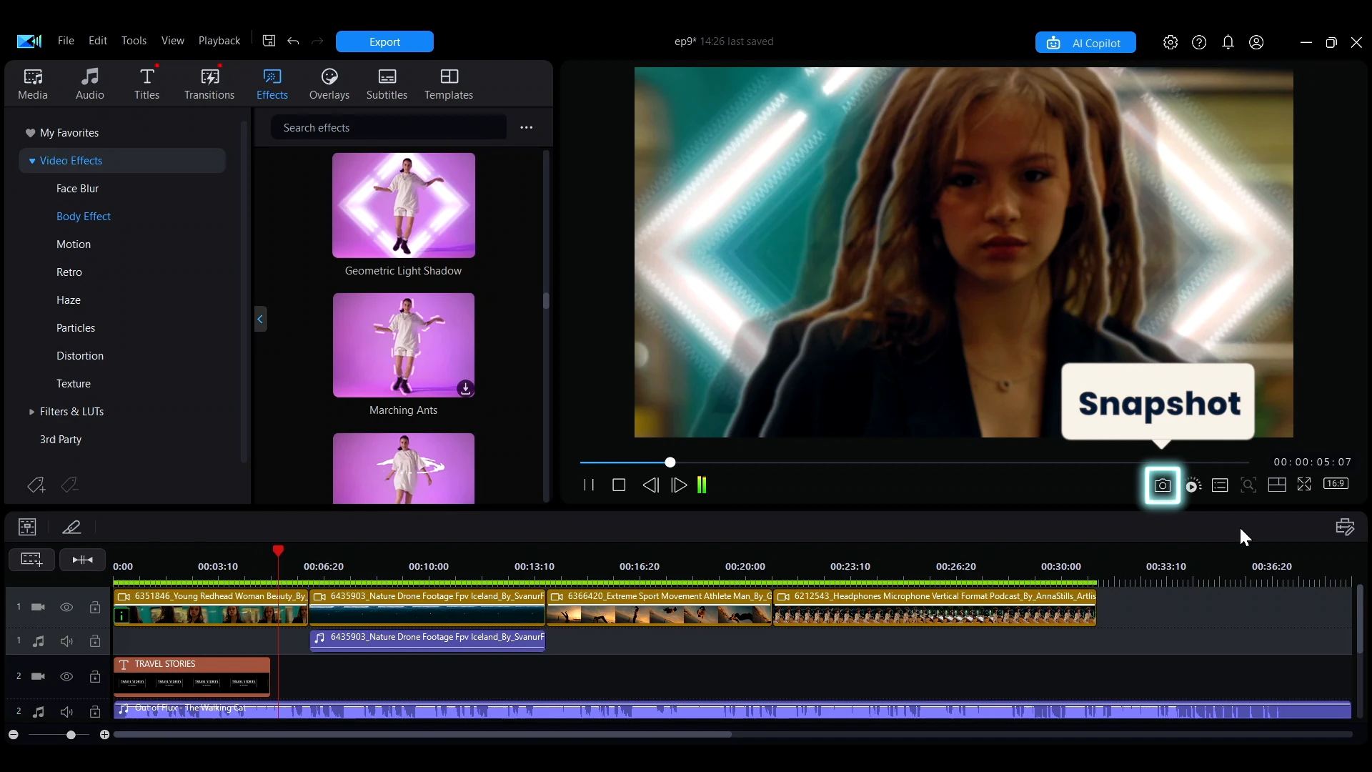 The camera icon under the preview window used to capture a snapshot