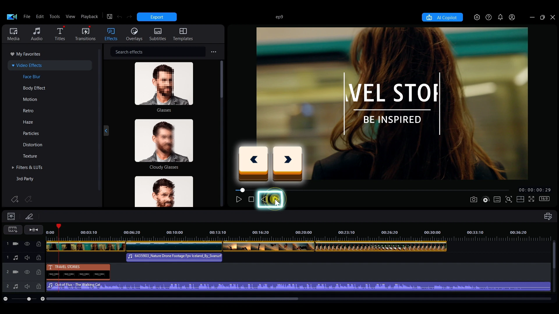 The frame step buttons under the preview window
