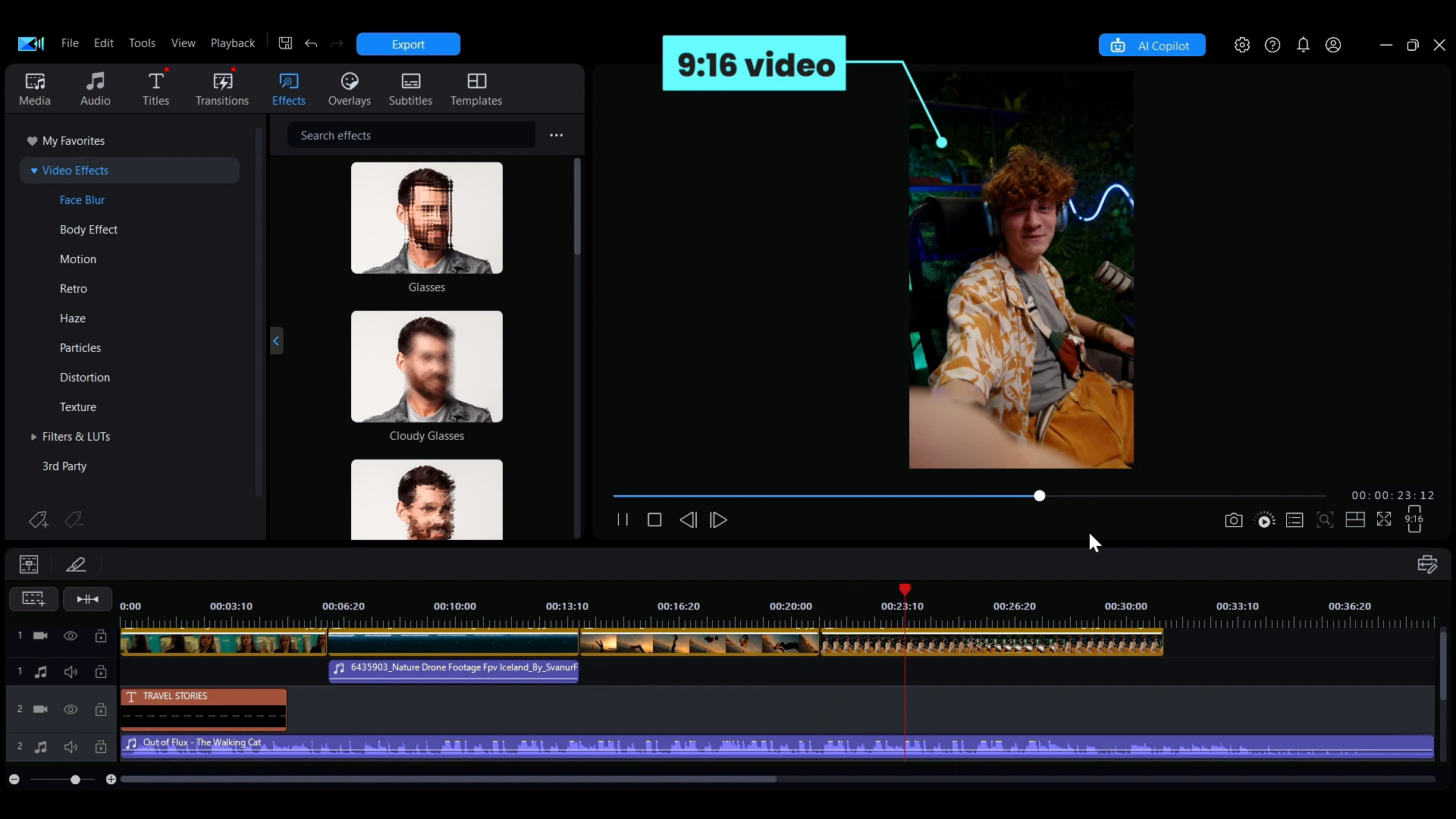 The preview window showing a project set to the 9:16 vertical ratio