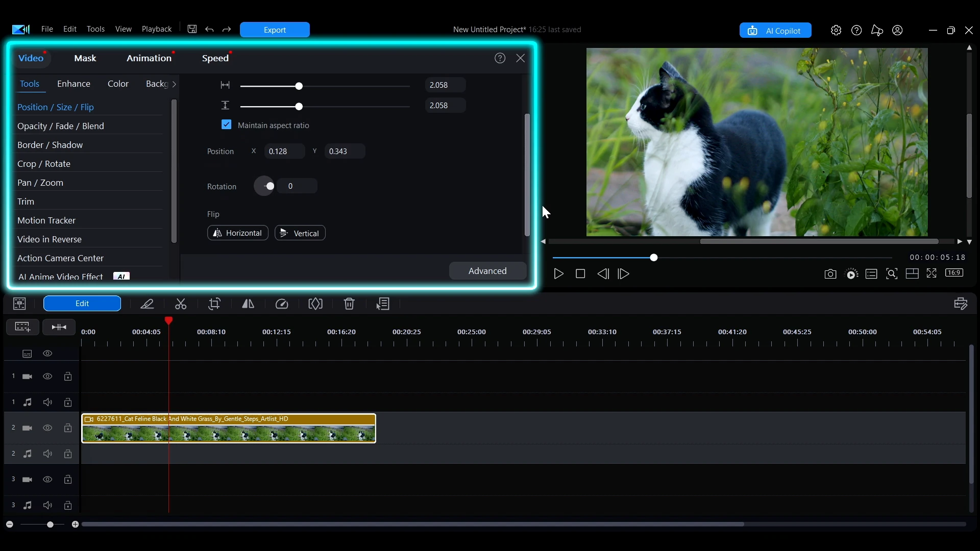 The PowerDirector editing panel open on Position / Size / Flip