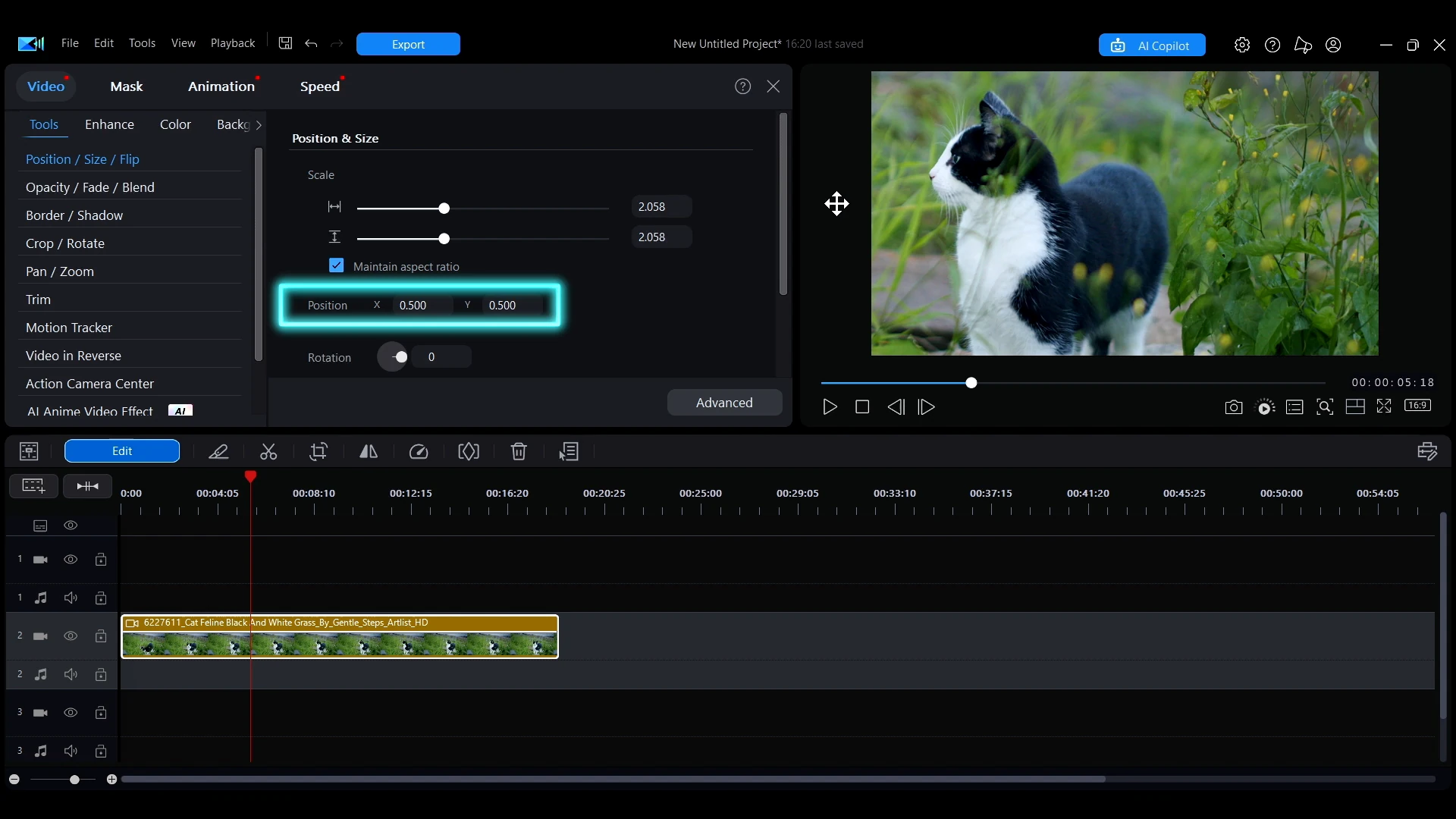 The Position X and Y fields in the editing panel