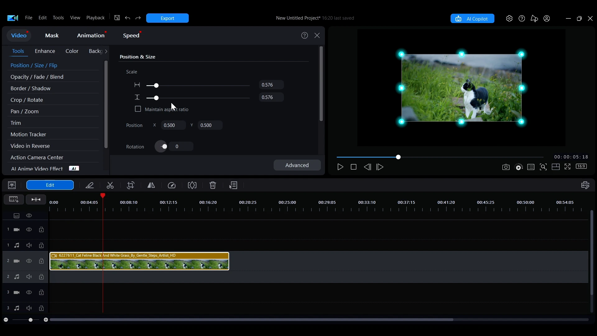 A clip scaled down inside the preview window with selection handles