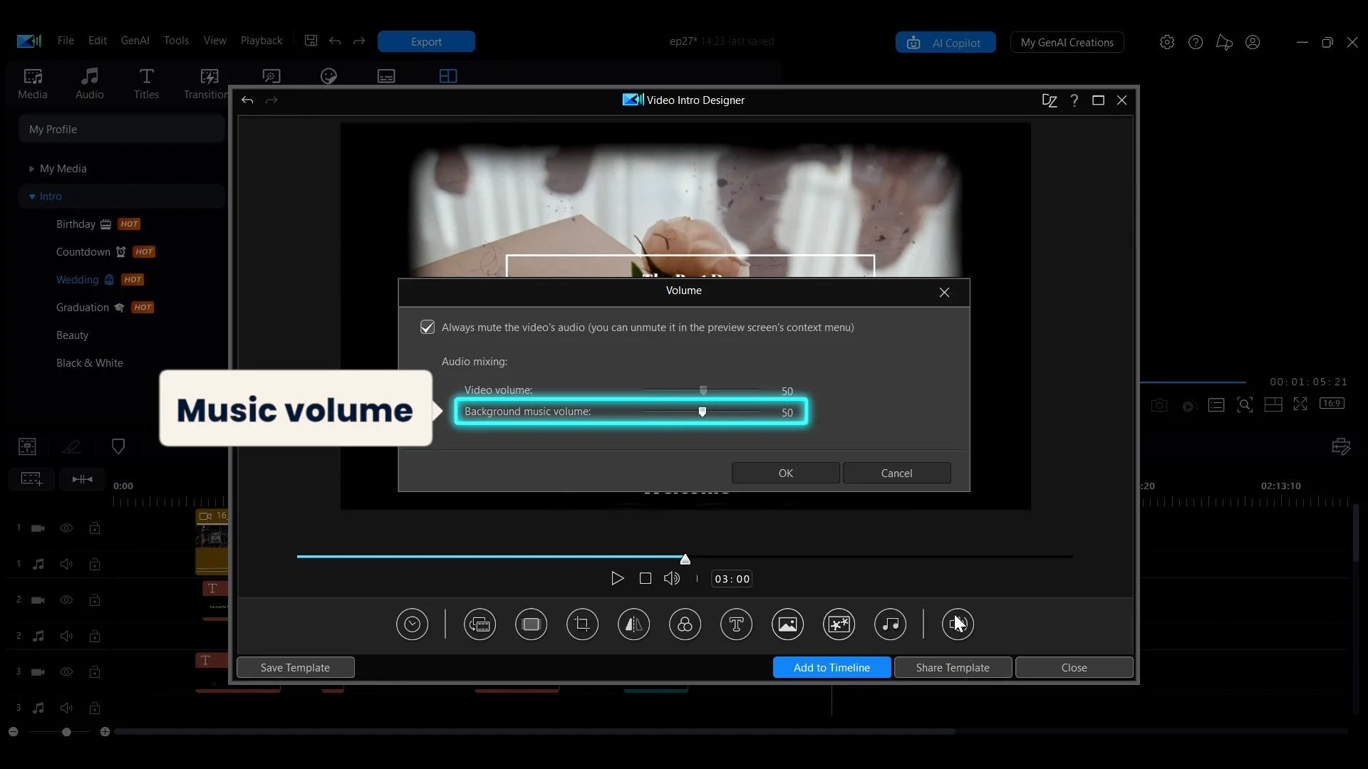 The Volume dialog in the Video Intro Designer with the always-mute checkbox ticked and separate Video volume and Background music volume sliders.