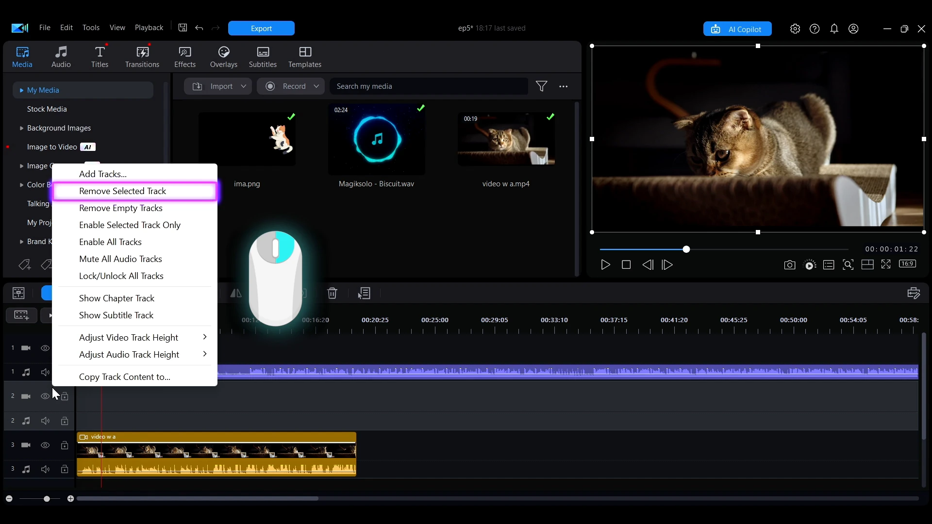 Right-click menu on a track showing Remove Selected Track