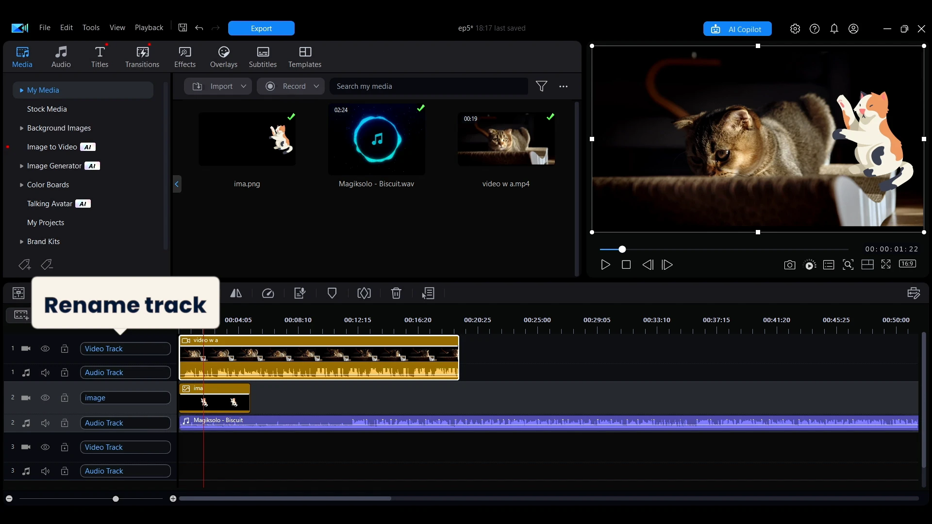 Expanding the track header to rename a track