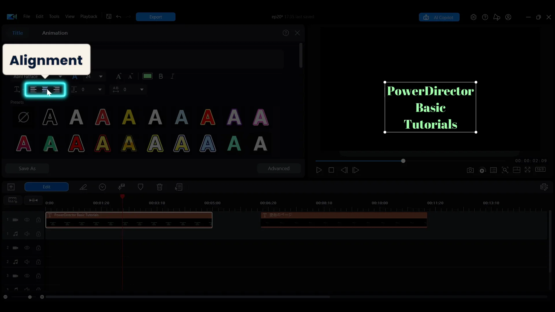 The alignment and spacing controls in the Quick Edit panel