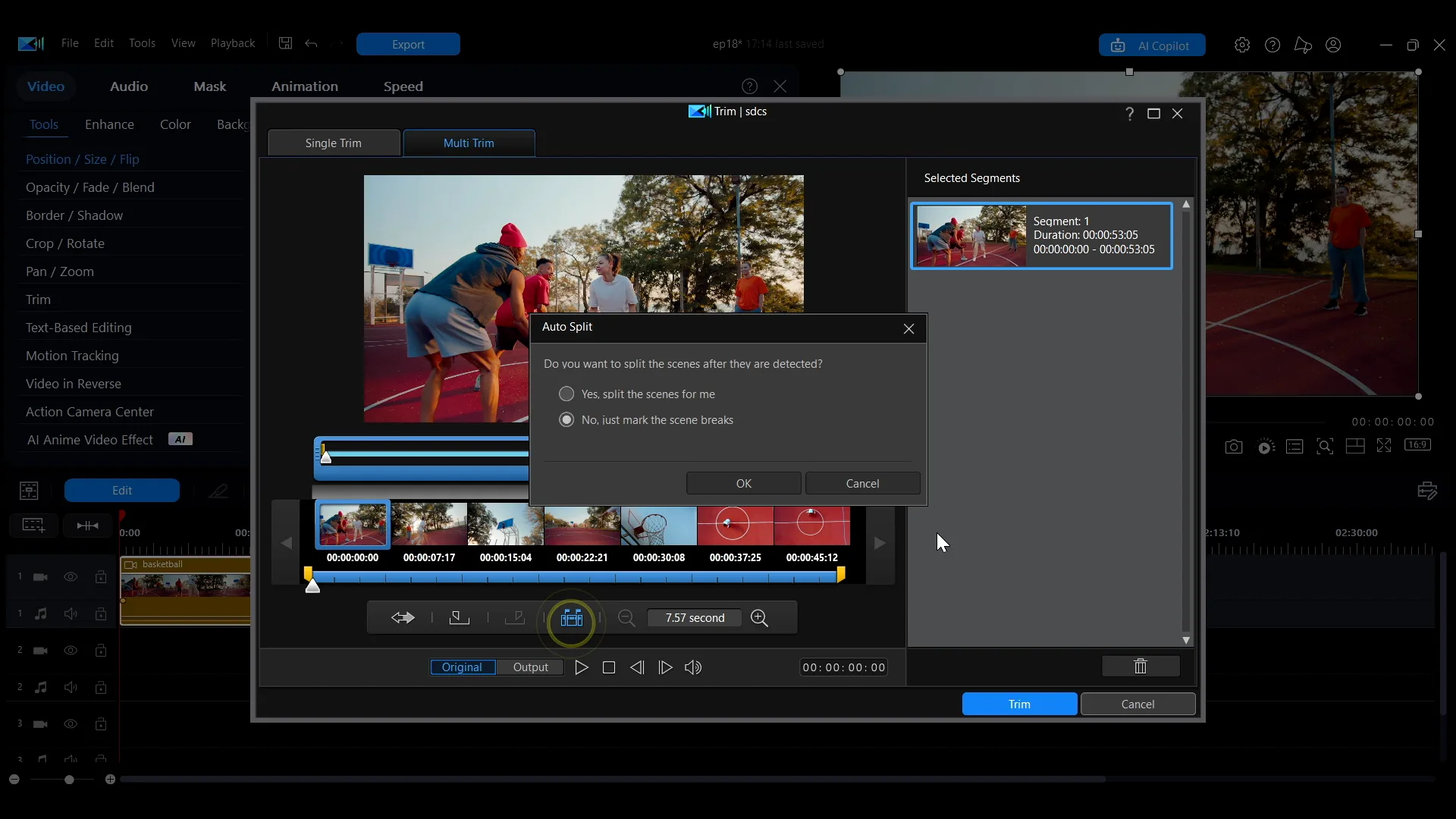 The Scene Detection prompt asking whether to split the video automatically