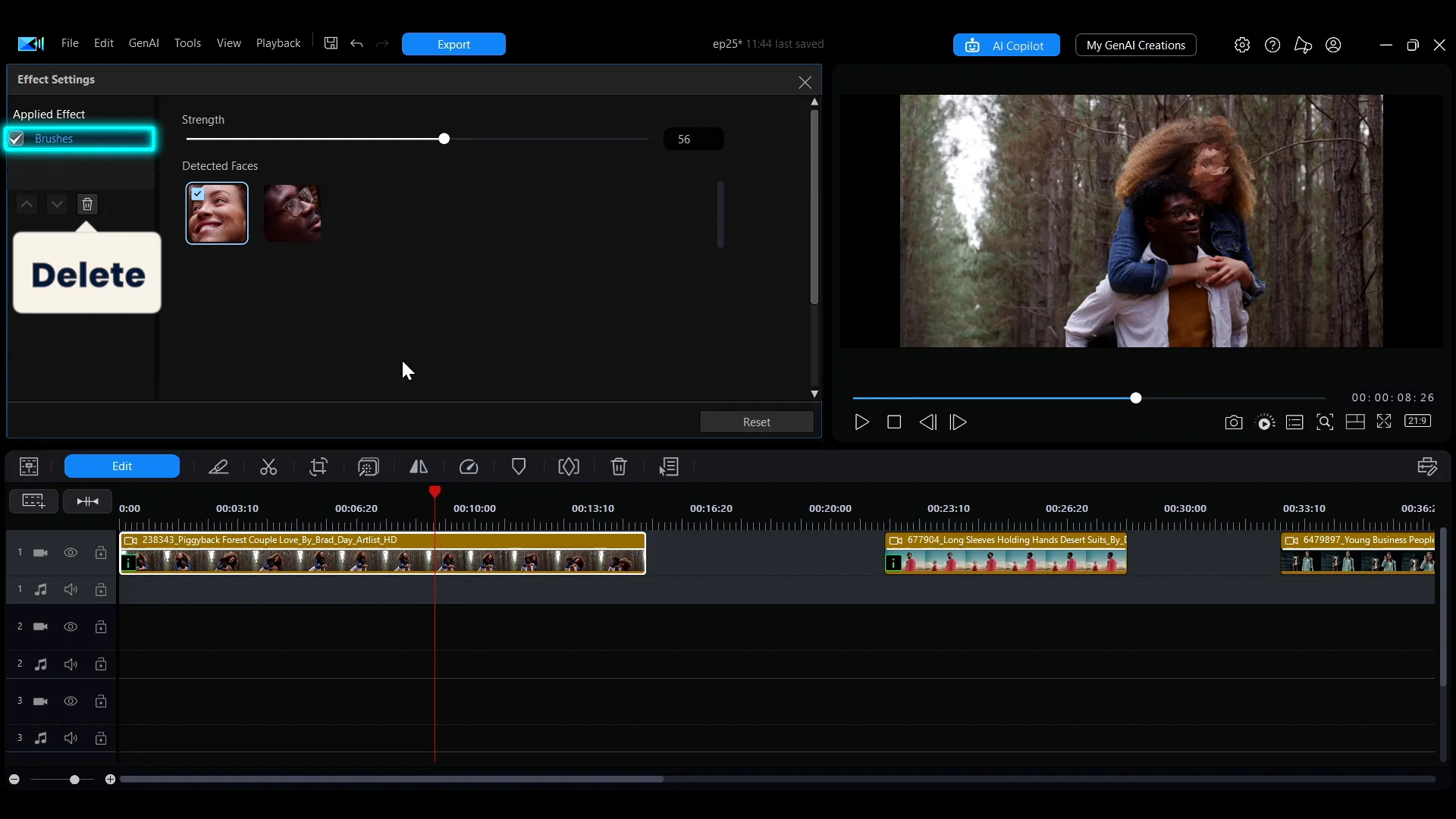 The Effect Settings panel with the Applied Effect list and the delete icon beneath it.