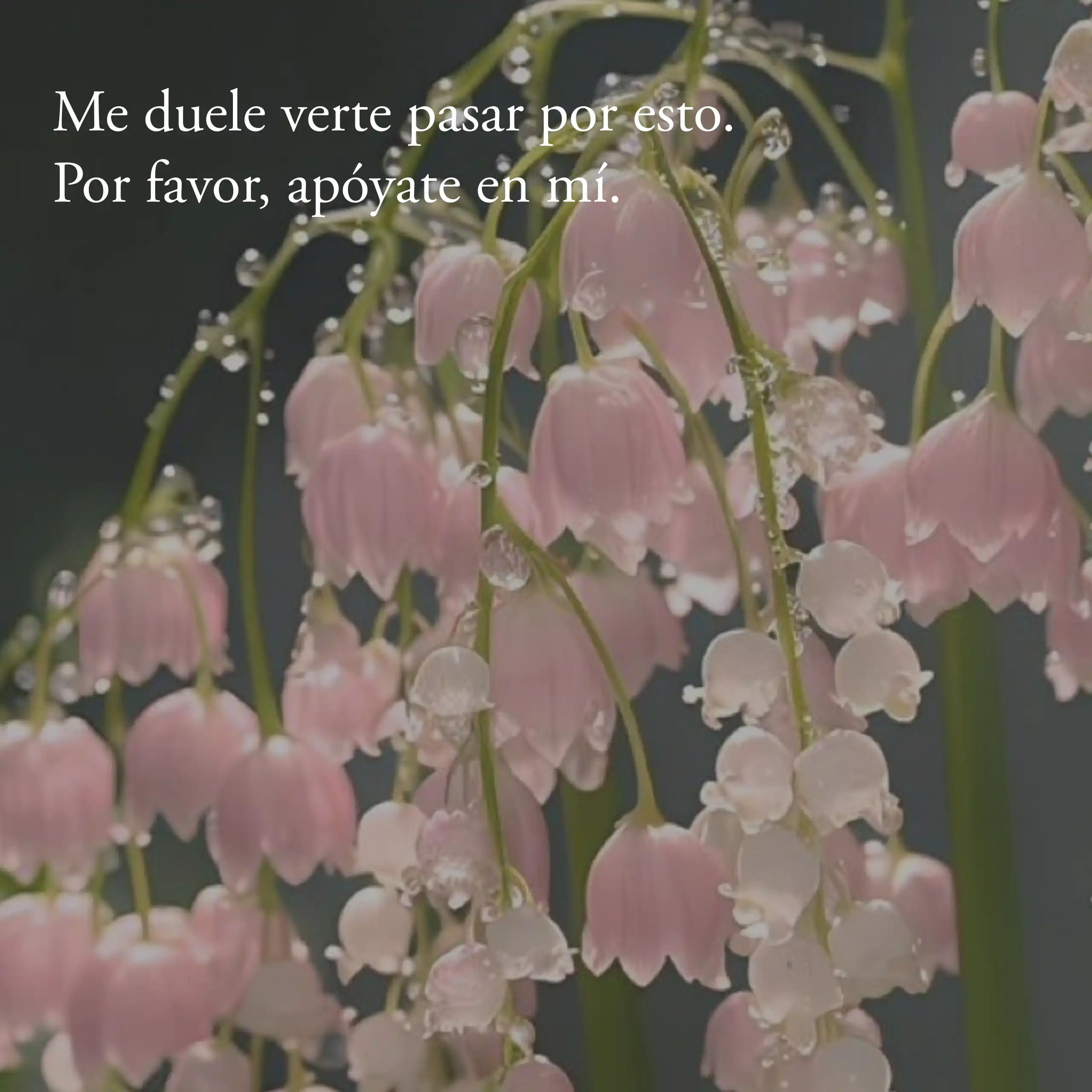 Mensajes de condolencias cortos