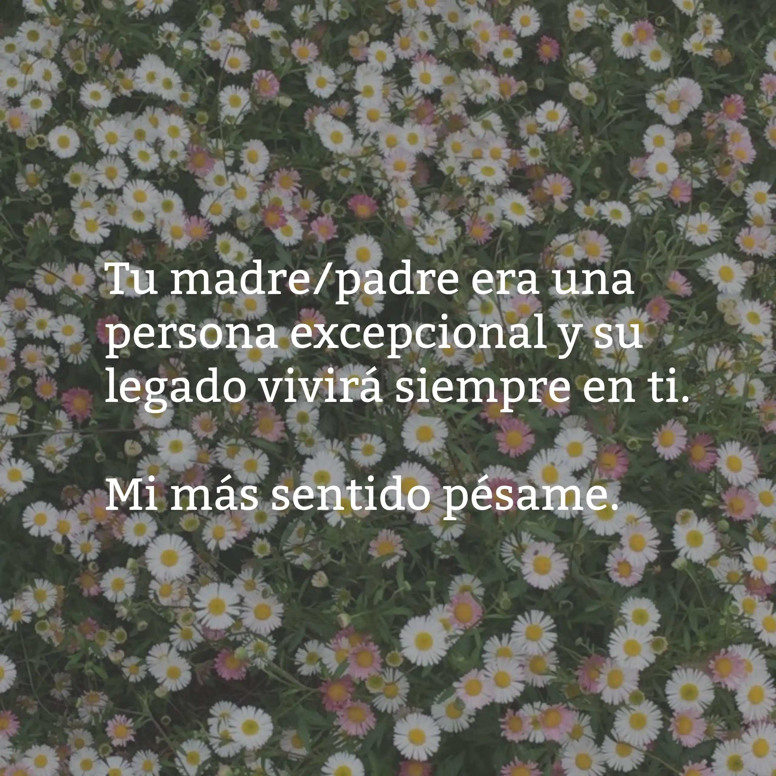 Mensajes de condolencias cortos