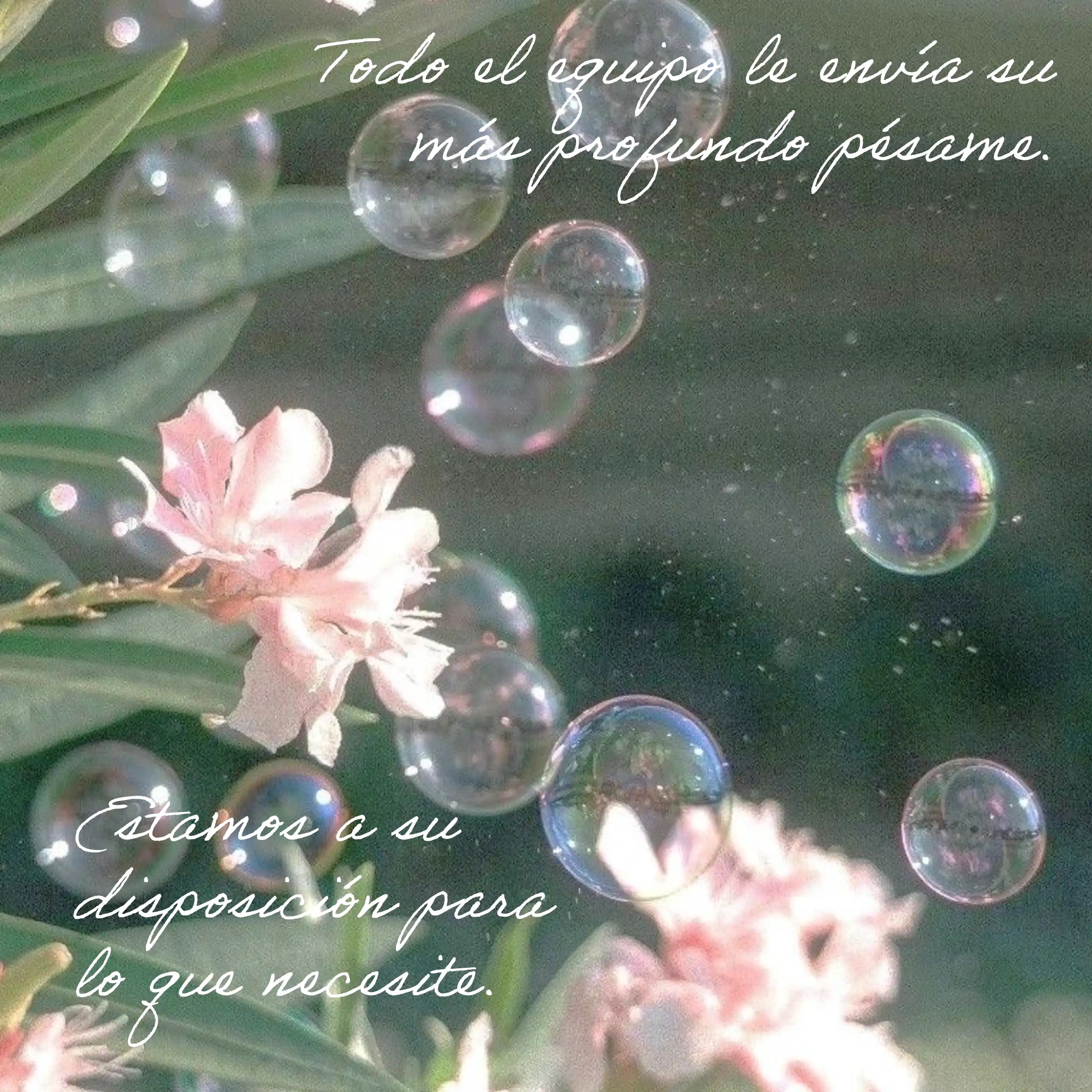 Mensajes de condolencias cortos