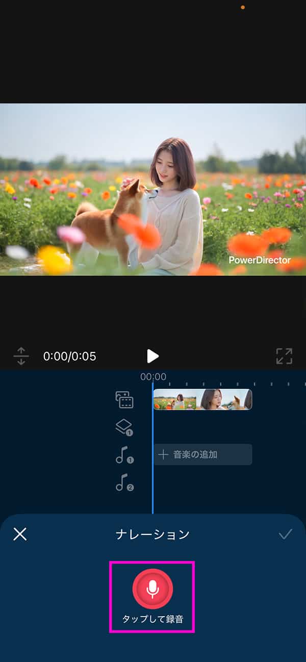 PowerDirector ボイスチェンジャーの使い方