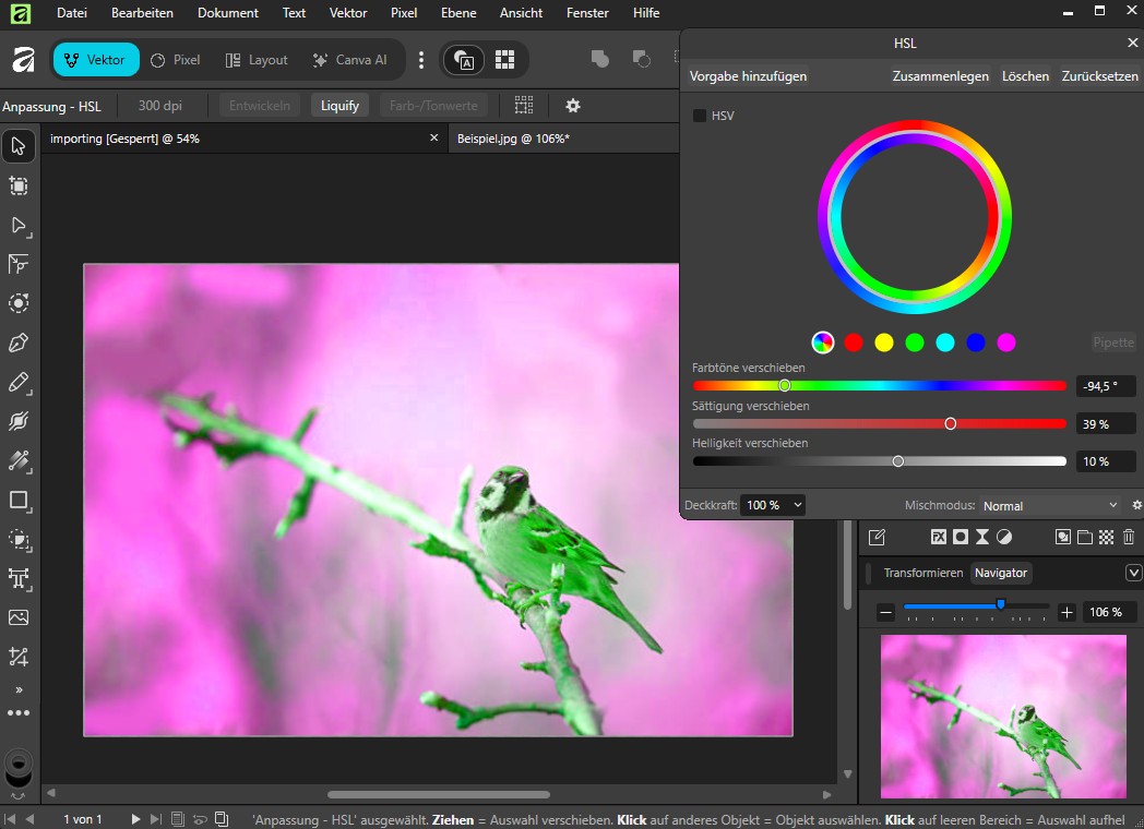 Affinity: Die mächtige Desktop-Alternative von Canva