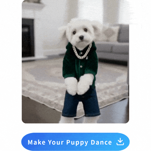 turn static dog images into AI dog dance video for free