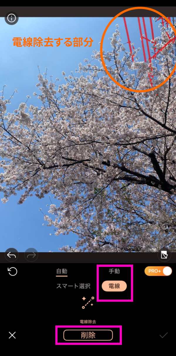 AI除去後の桜写真