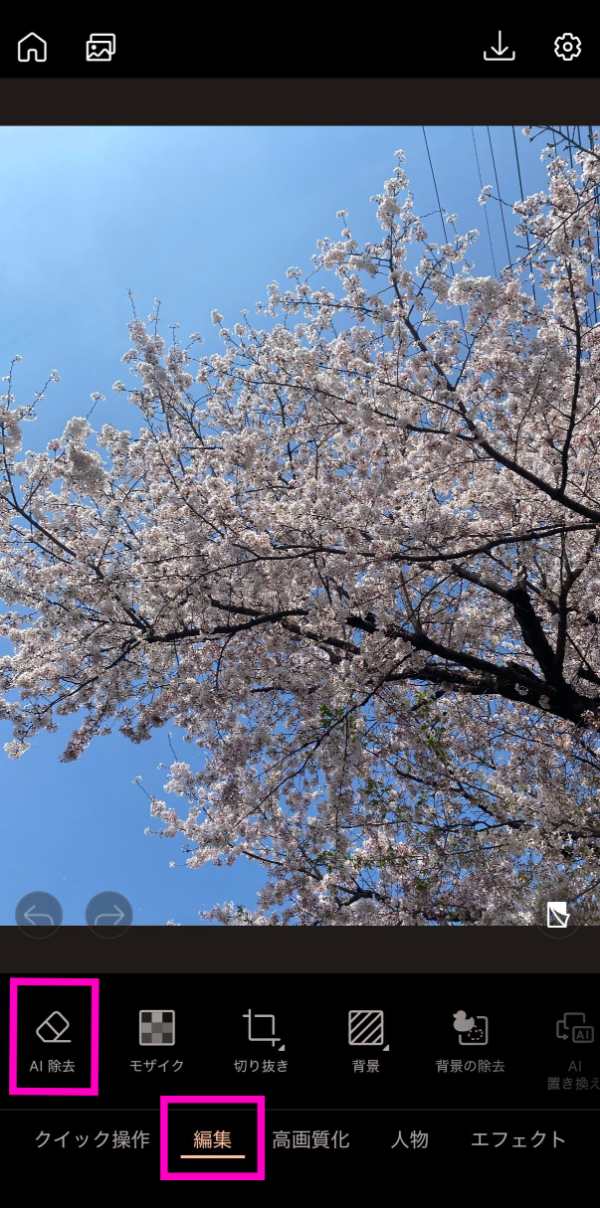 AI除去前の桜写真