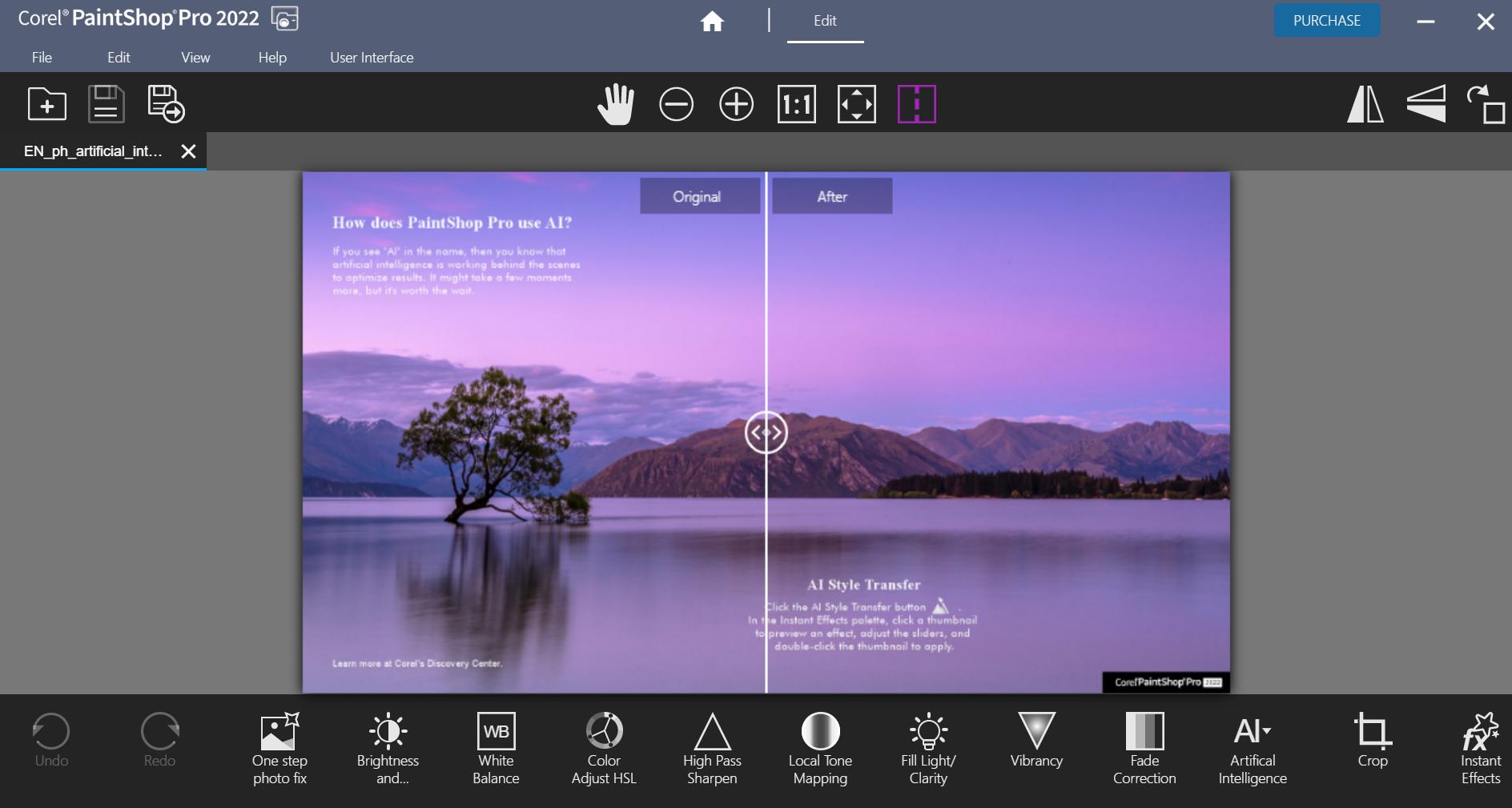 paintshop pro image