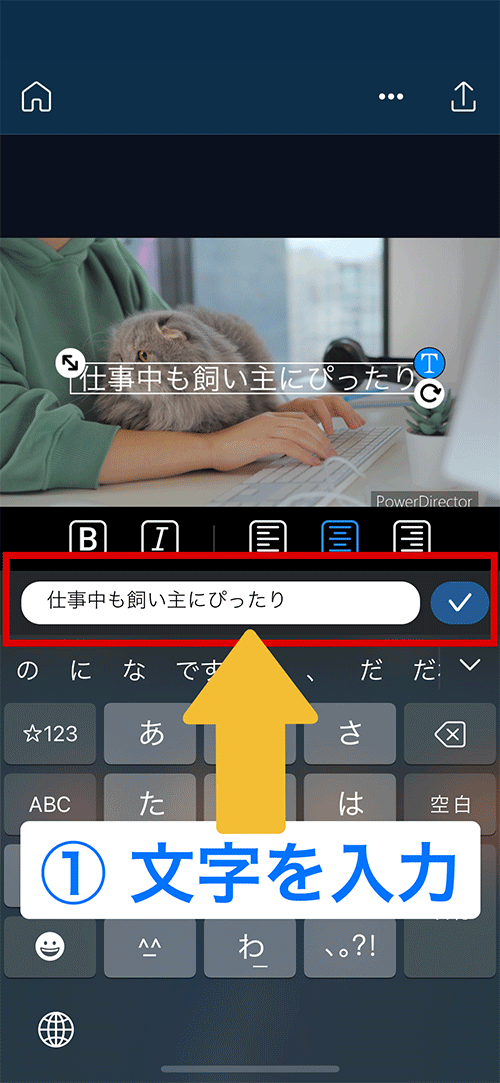 PowerDirector 自動文字起こし
