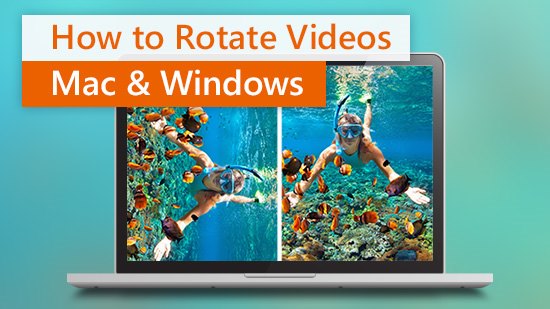 How to Rotate a Video on Windows and Mac for Free