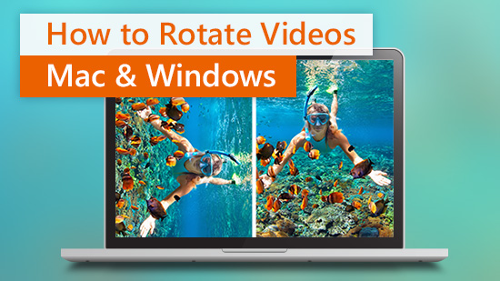 How to Rotate a Video on Windows and Mac for Free