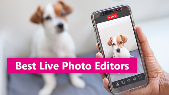 5 Best Free Live Photo Editors in 2025