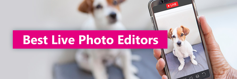 Best Free Live Photo Editors 