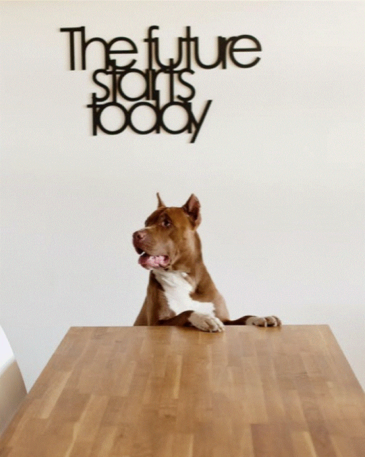 comment enlever un objet indesirable d'une photo avec PhotoDirector