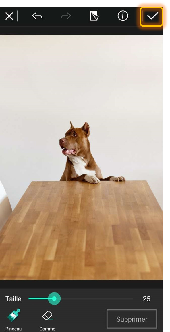 Supprimer un objet sur une photo - Etape 4