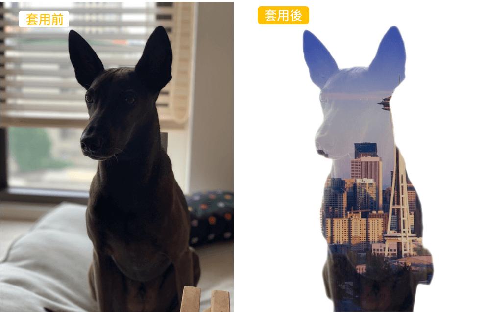 雙重曝光效果範例
