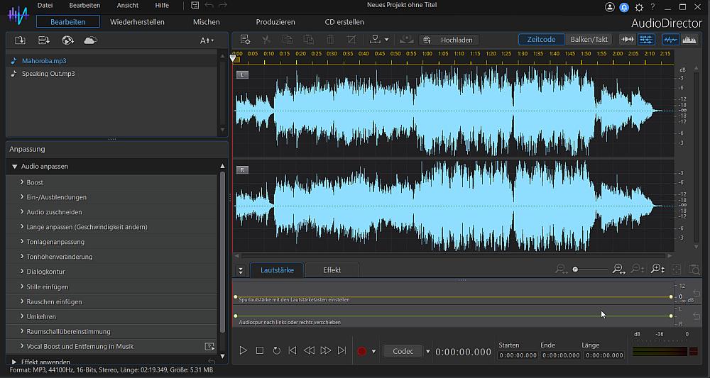 AudioDirector Interface