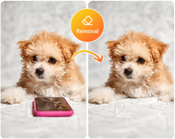 Remove a Person From a Photo Online with MyEdit