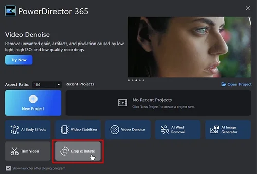 PowerDirector - crop tools