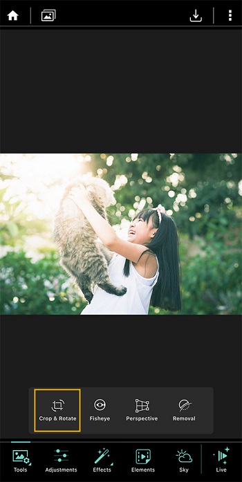 PhotoDirector App - Crop and Rotate