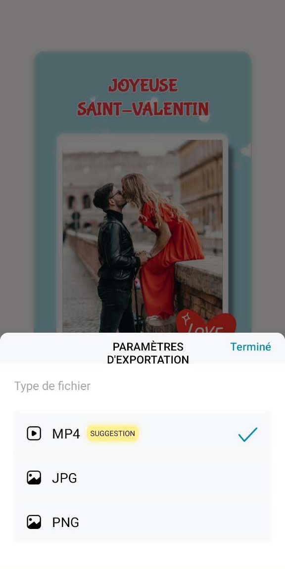Promeo - importer carte